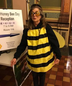 woman in bee suit